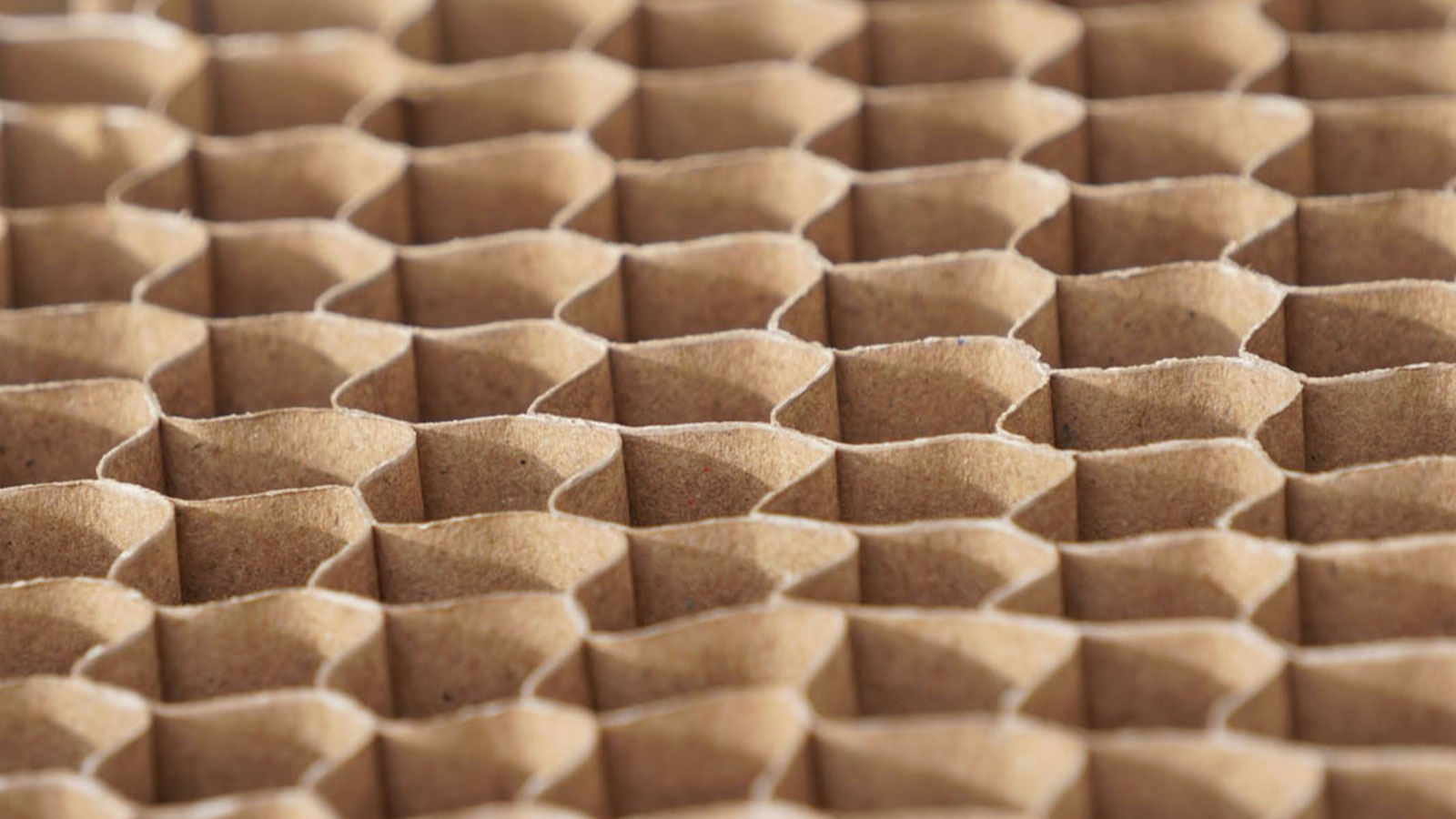 KSPA EMBILIPITIYA PAPER MILLS PVT LTD