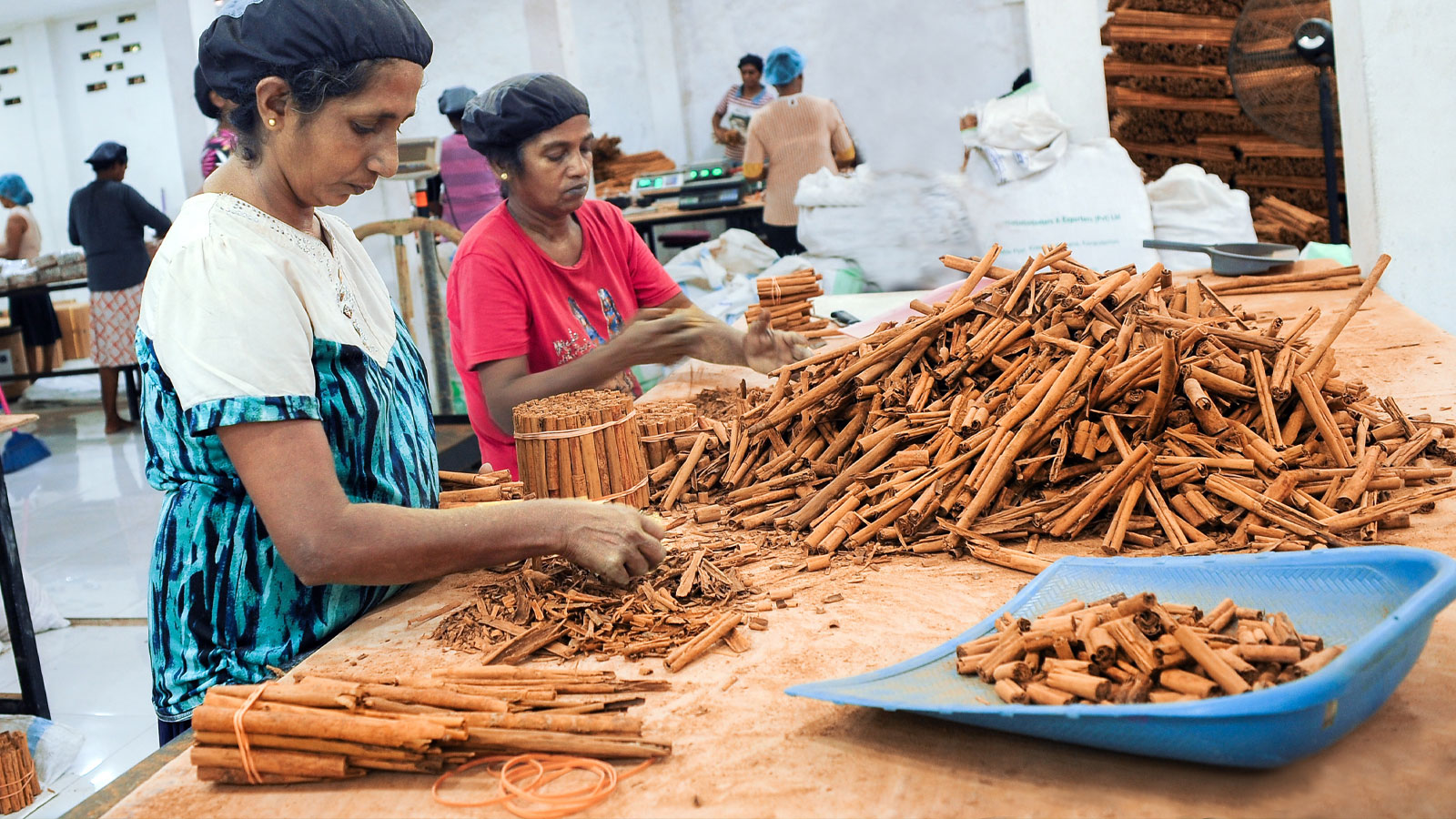 LAK CINNAMON PLANTERS AND EXPORTERS PVT LTD