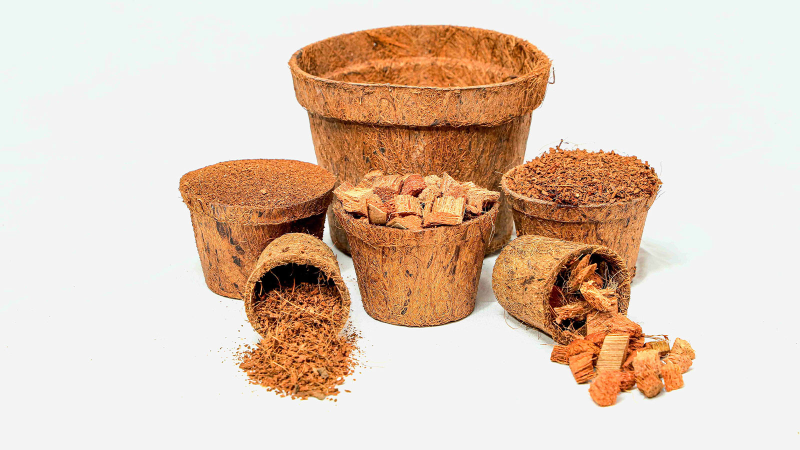 MARISHA COCO PRODUCTS PVT LTD