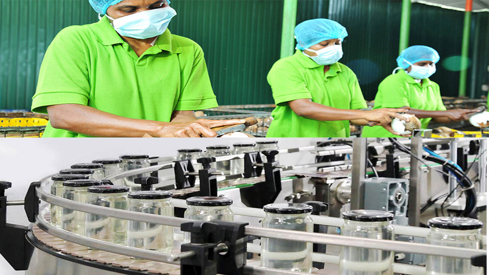 N M K AGRO INDUSTRIES PVT LTD EDB Sri Lanka