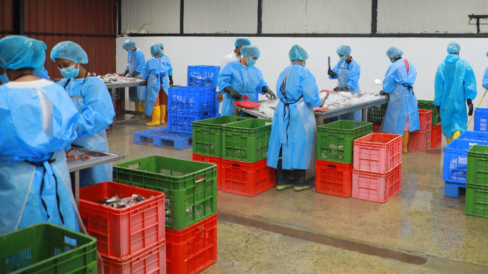 OCEAN FOODS MANUFACTURING PVT LTD