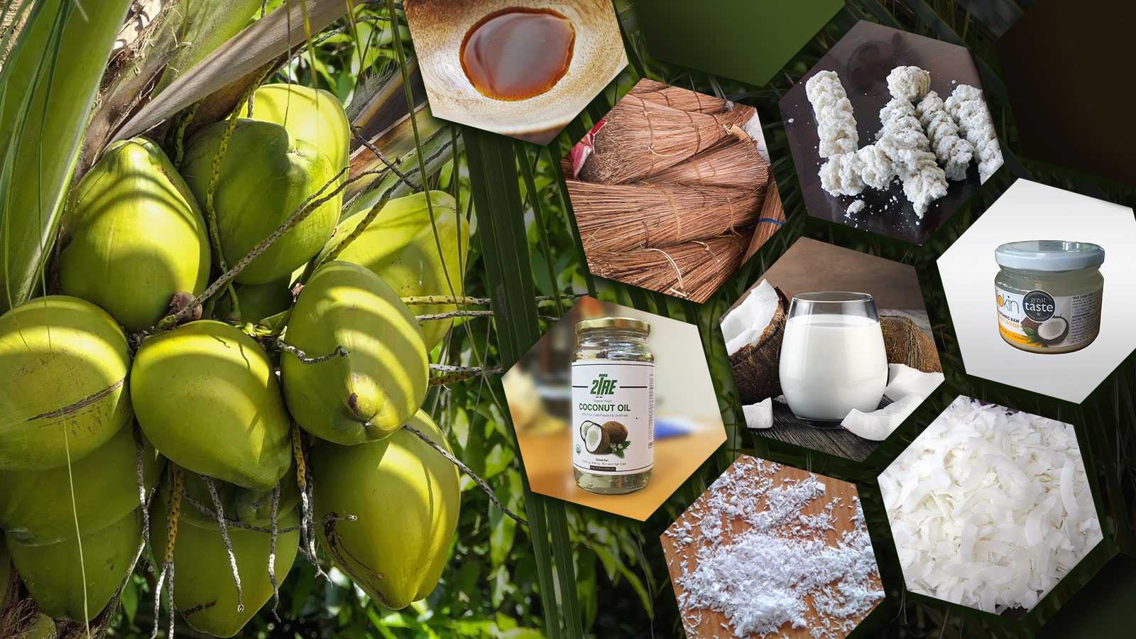 PRIME LANKA EXPORTERS