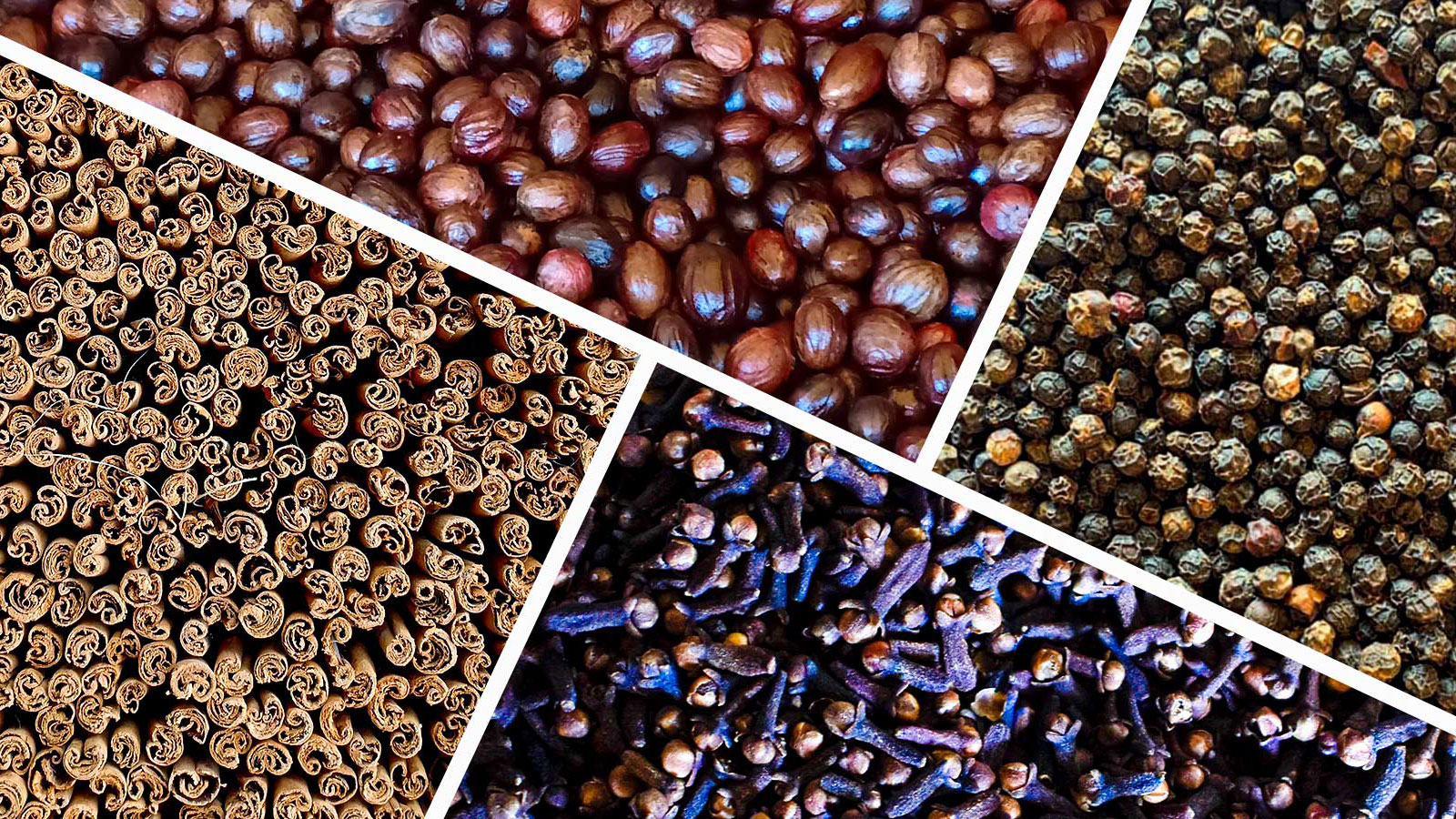 PRIME LANKA EXPORTERS