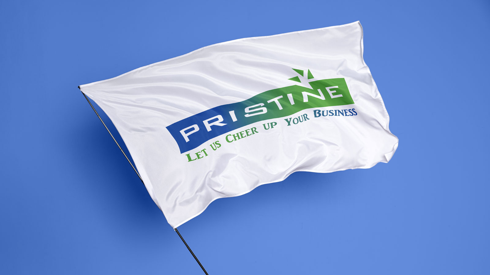 Pristine Solutions (Pvt) Ltd