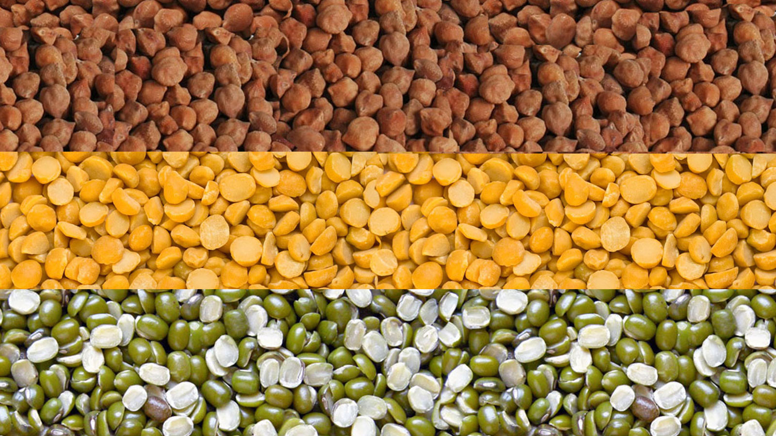 PULSES SPLITTING AND PROCESSING INDUSTRY PVT LTD