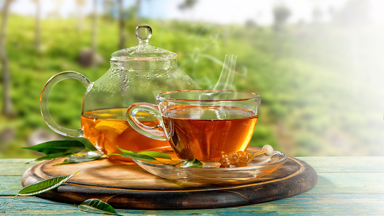 RENUKA TEAS CEYLON PVT LTD