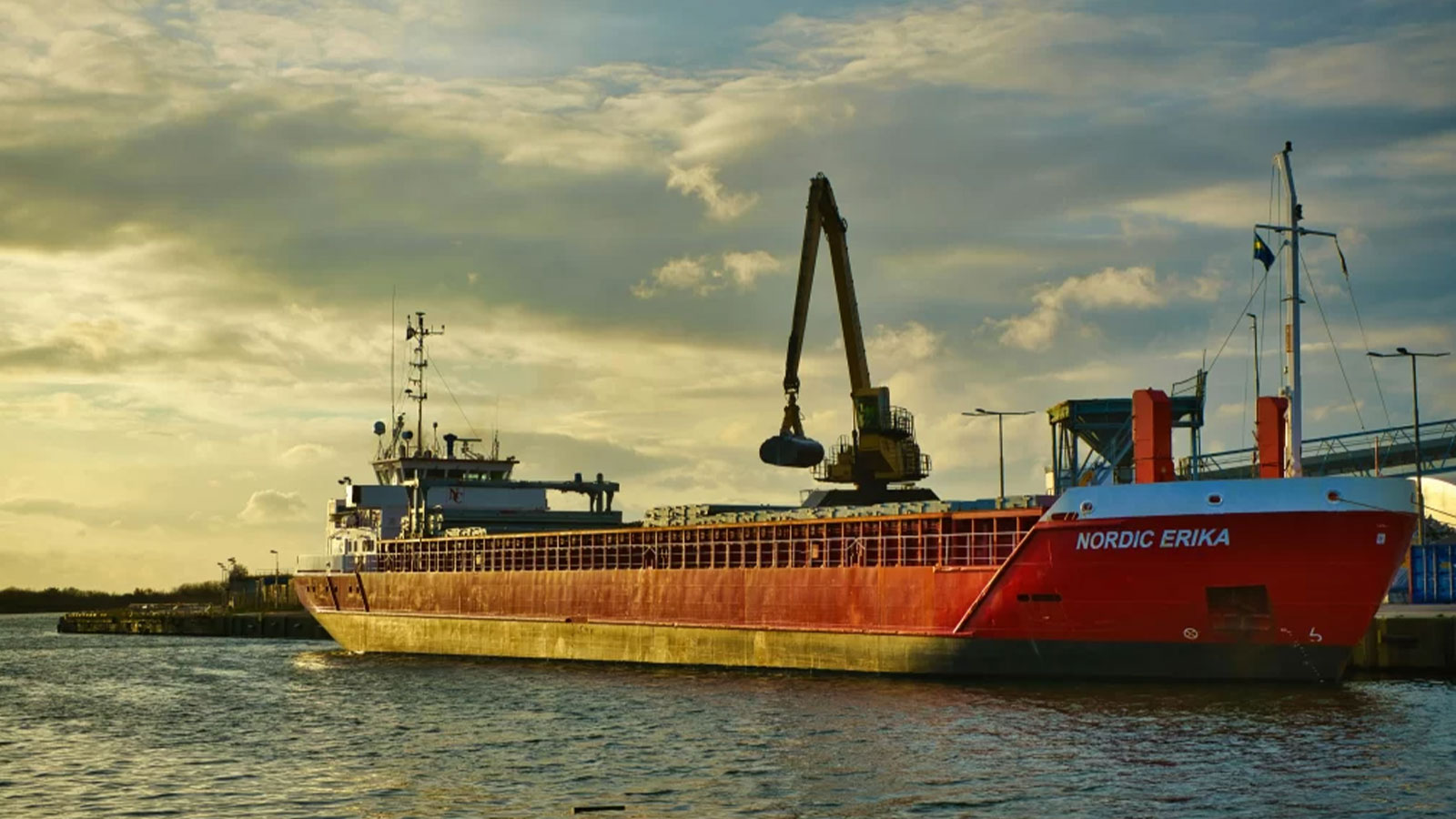 Rays International Shipping Pvt Ltd