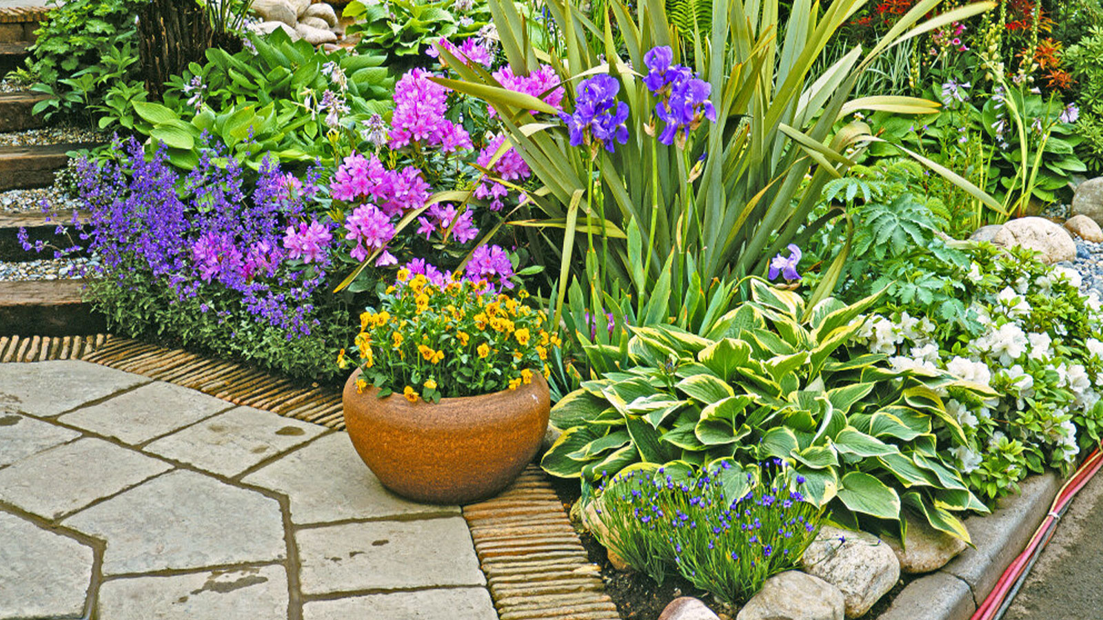 SERENDIB FLORA PVT LTD