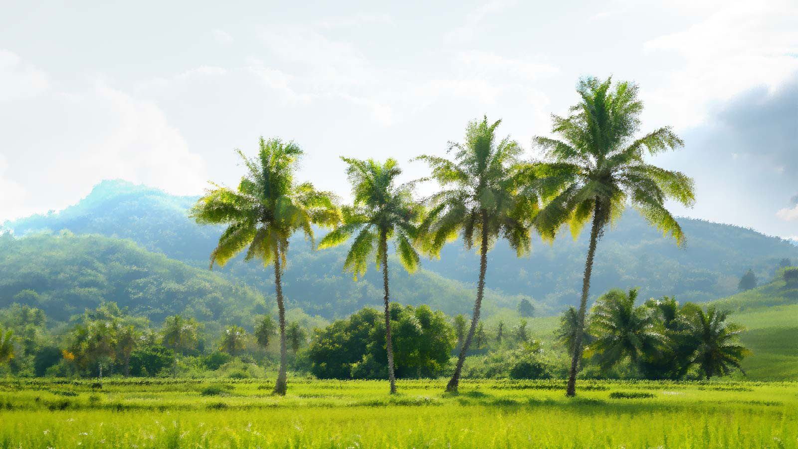 SCATTERED HARVEST PVT LTD