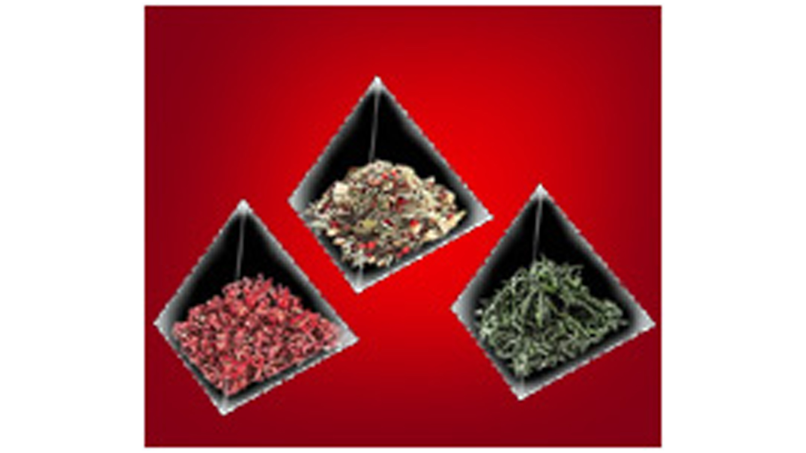 TEA INFUSIONS PVT LTD