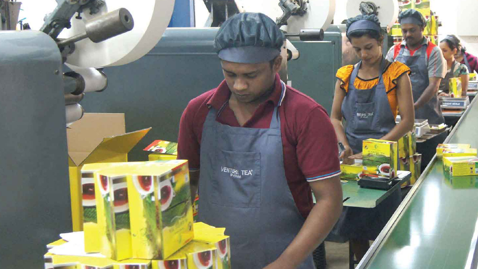 VENTURE TEA PVT LTD