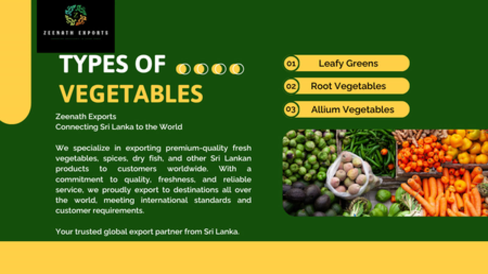 ZEENATH HOLDINGS PVT LTD