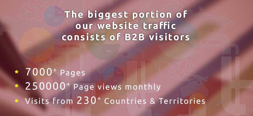 The biggest portion of our website traffic consists of B2B visitors