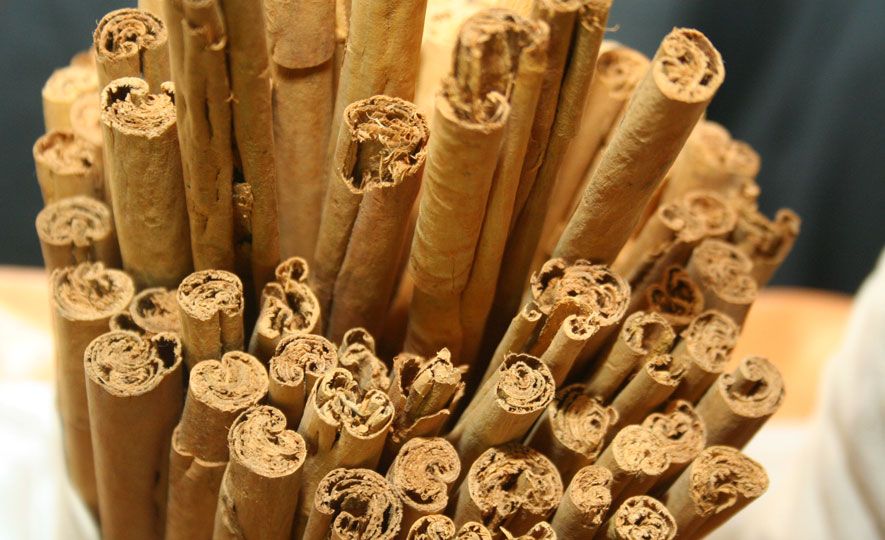 Cinnamon essential oil could disrupt bacterial biofilms and make infections easier to treat