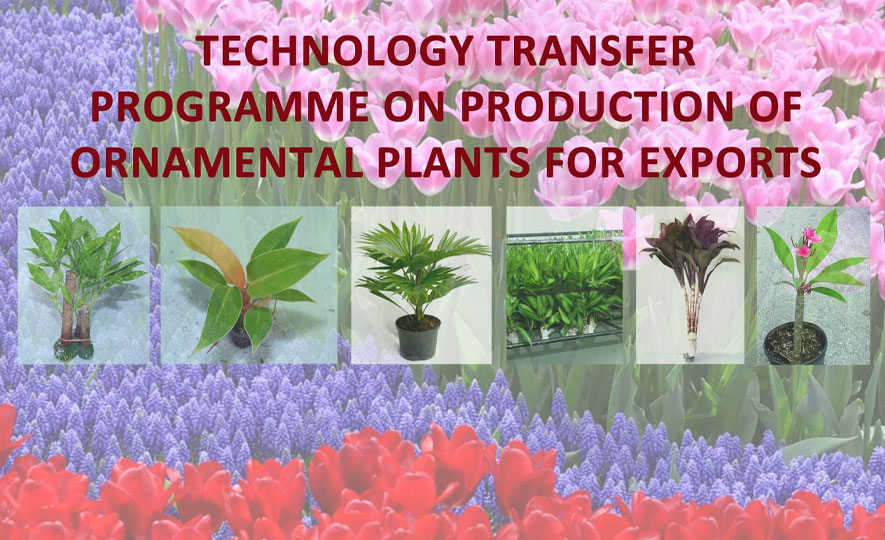 EDB workshop on ornamental plant production program for export