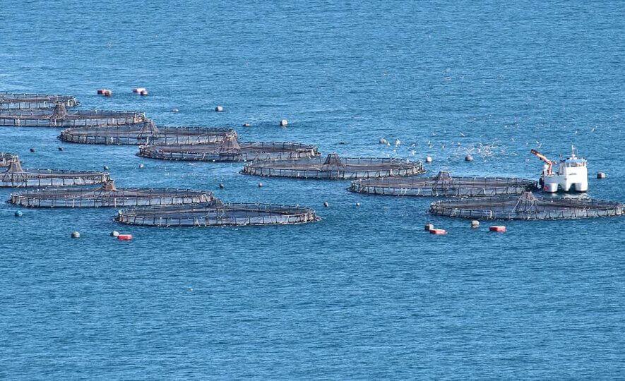 Open Ocean Aquaculture in Sri Lanka
