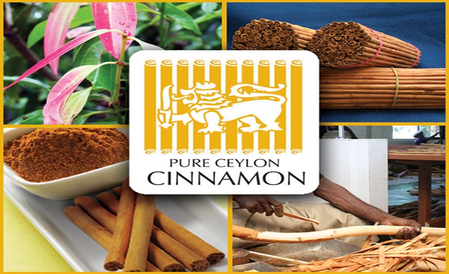Ceylon Cinnamon, Ceylon Tea to be recognised as Geographical Indications in Sri Lanka