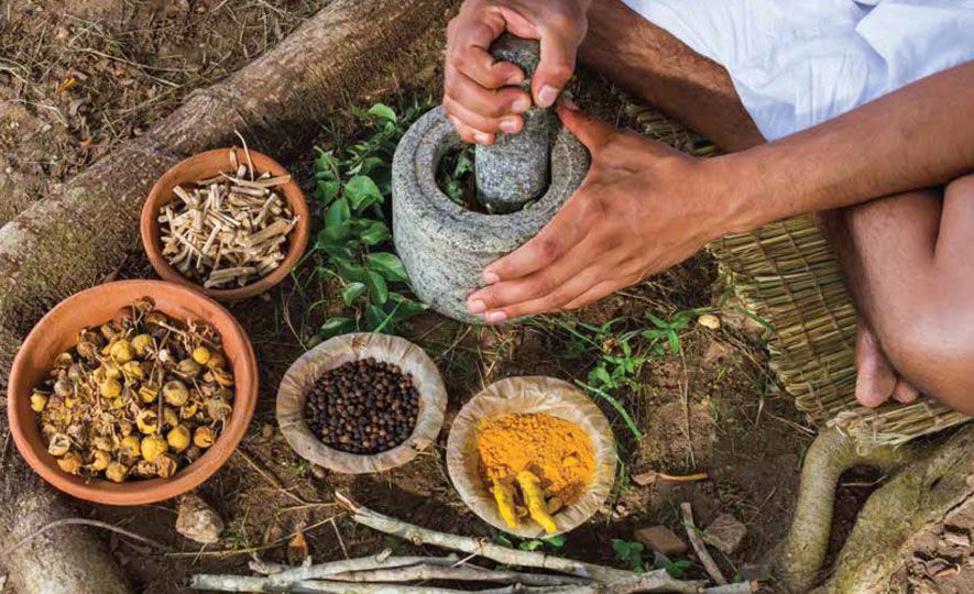 Roots of Sri Lankan Traditional Medicine
