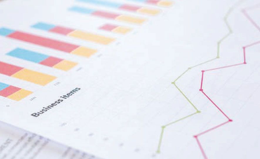 The Role of Trade Information & Promotion Support Function Under the NES