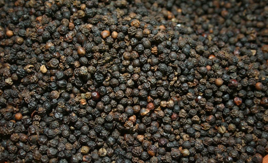 Raising the Bar on the Sri Lankan Pepper Supplies