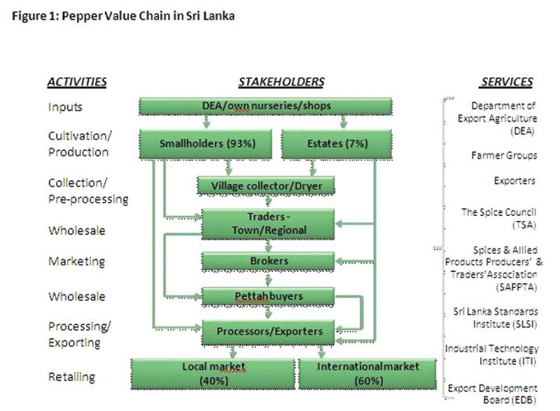 Pepper Value Chain