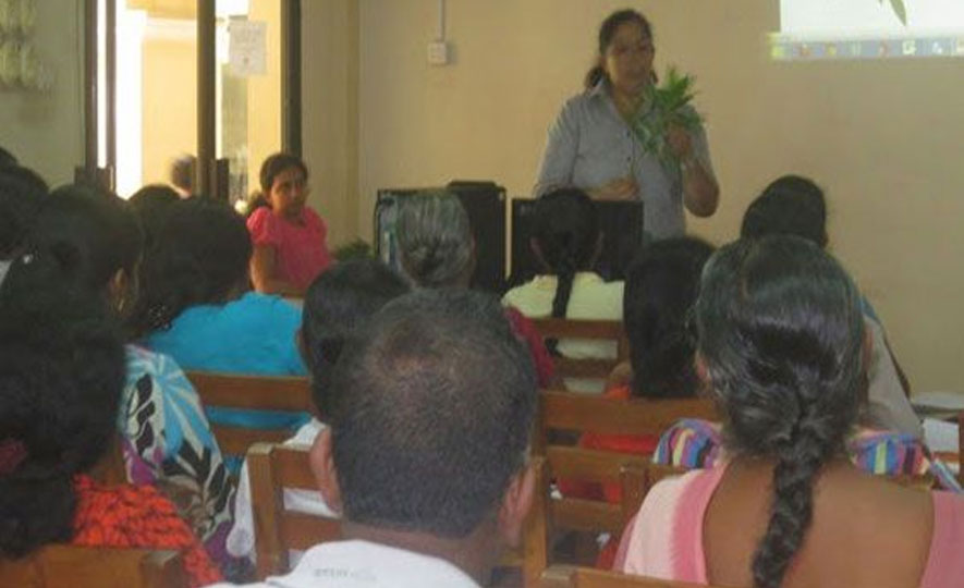 Awareness Seminar/Workshop On Cut Foliage and Flowers For The Export Market For Export Oriented Out Growers In NW Province