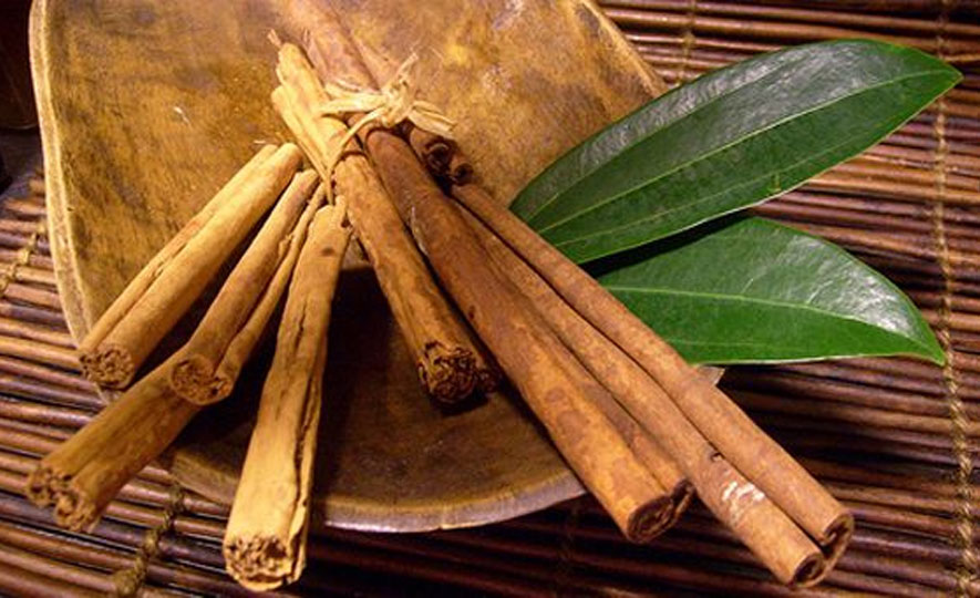 Cinnamon could fight Parkinson’s