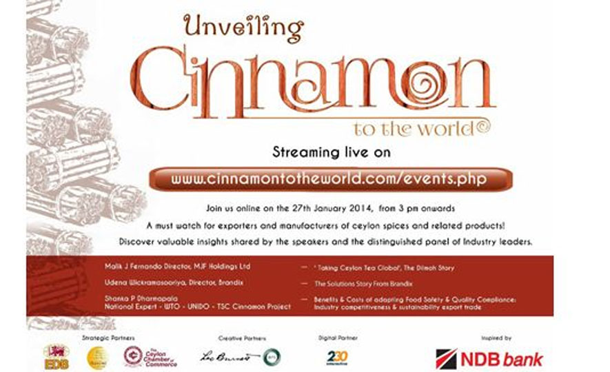 Cinnamon To The World