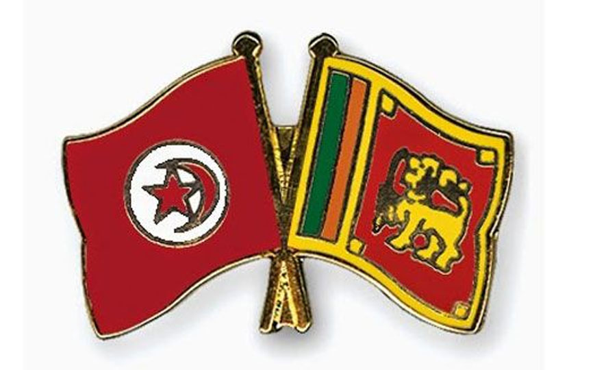 Lankan delegation to explore new opportunities in post-revolution Tunisia at TIF 2014