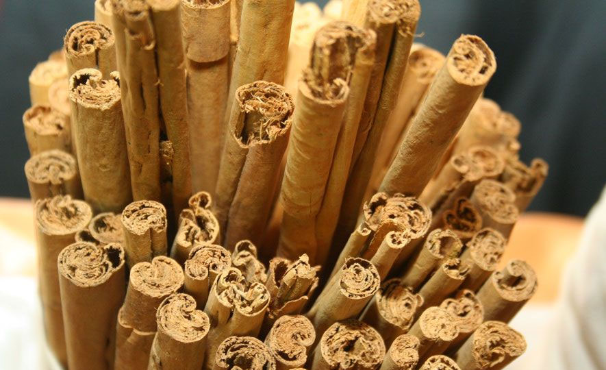 With first official Ceylon Cinnamon batch active, Lanka positions for $ 1b spice exports