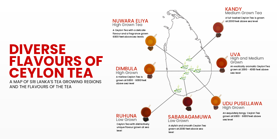 Diverse Flavors of Ceylon Tea and Their Origin
