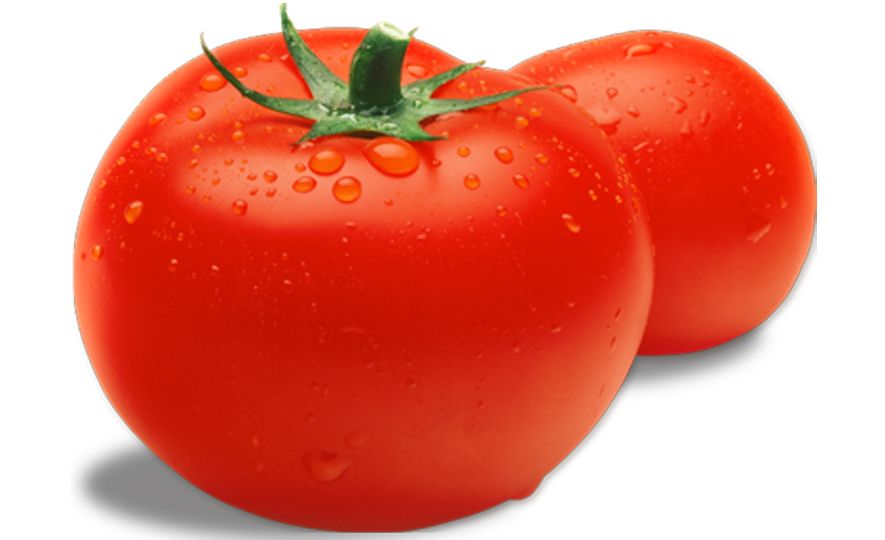 Globally tomatoes are growing on Sri Lankan growing media
