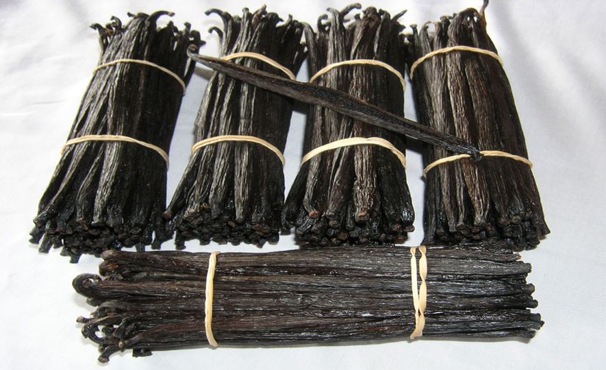 Sri Lankan Vanilla cultivators and suppliers are catering to a growing global demand