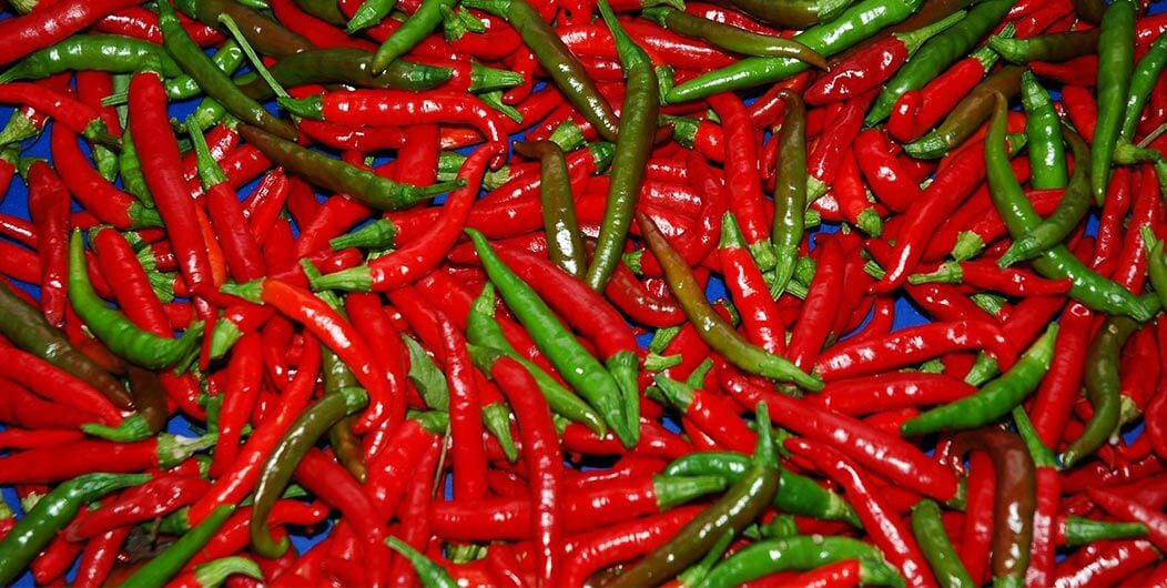 Chilli