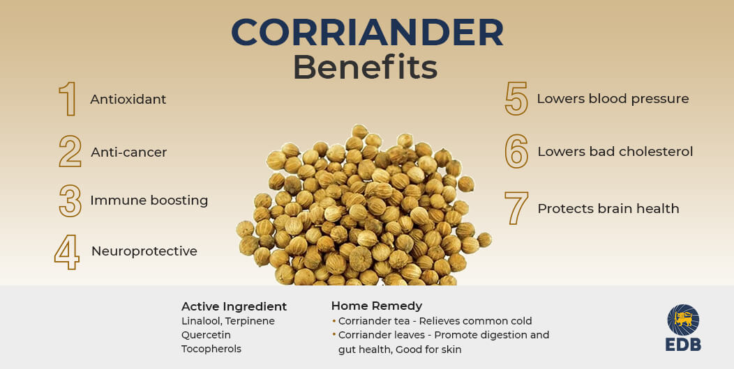 Health Benefits of Coriander 