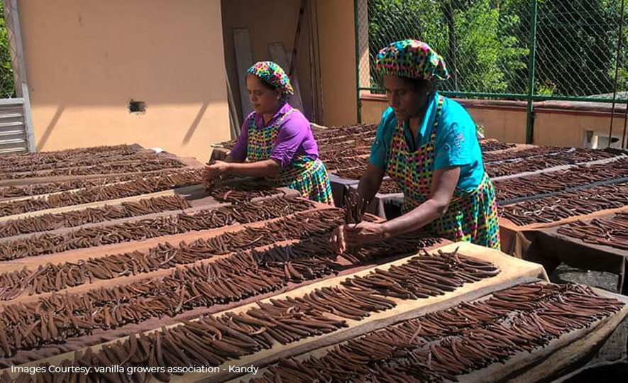 The Market Potential for Natural Vanilla