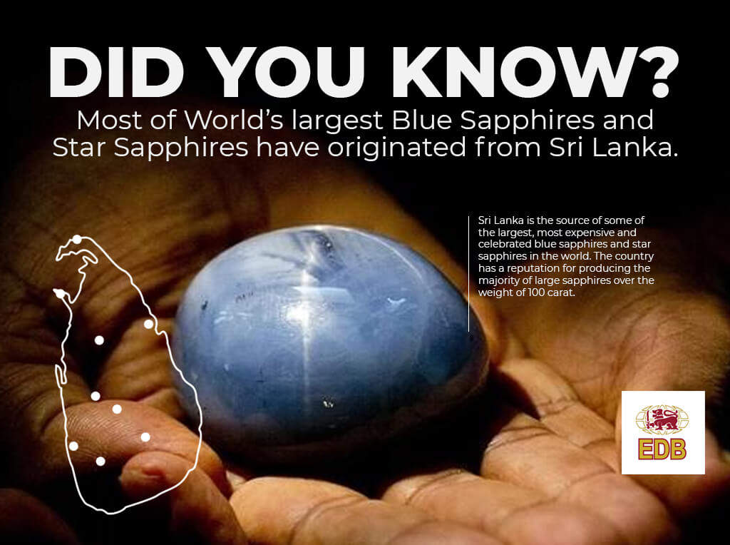 Celebrated Blue Sapphires from Sri Lanka