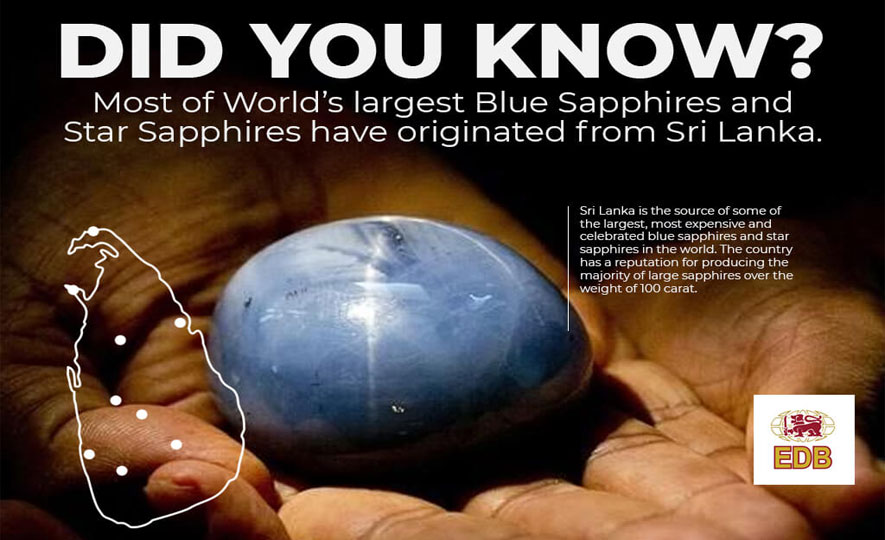 Celebrated Blue Sapphires from Sri Lanka