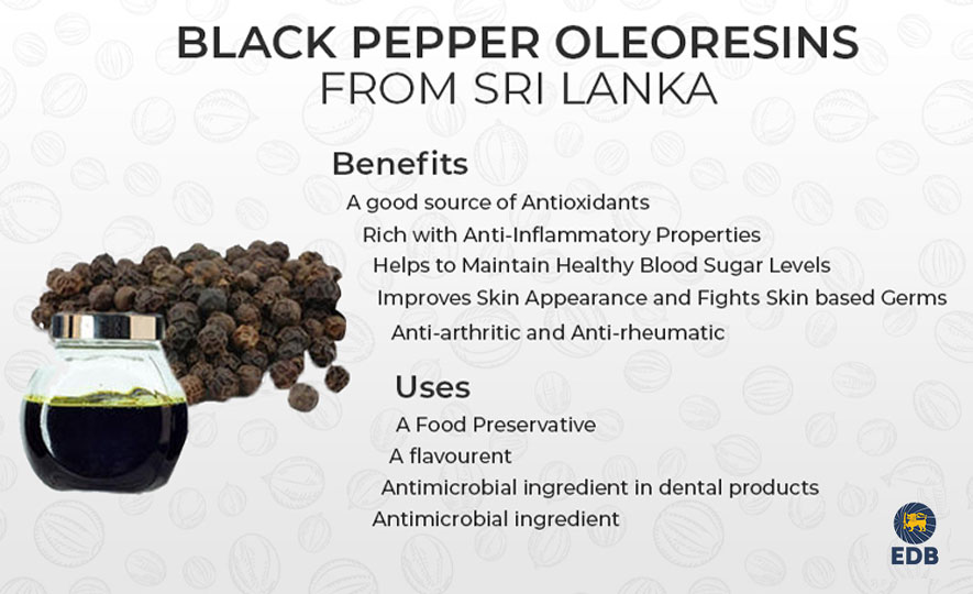 Black Pepper Oleoresins Made in Sri Lanka