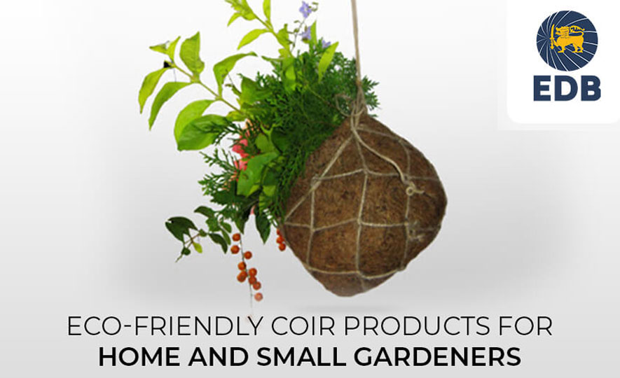 Eco-Friendly Coir Products for Home and Small Gardeners