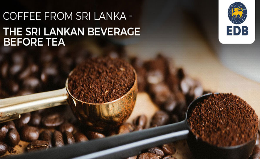 Coffee from Sri Lanka – the Sri Lankan Beverage before Tea