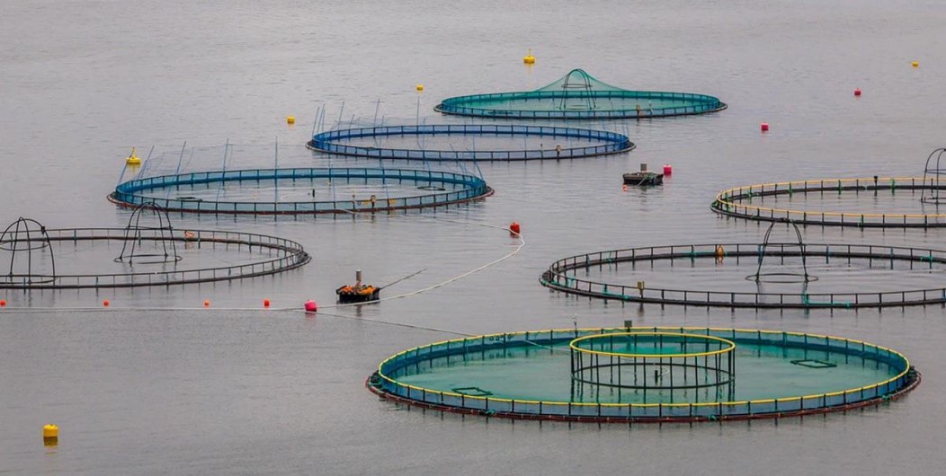 Sustainable aquaculture practices from Sri Lanka