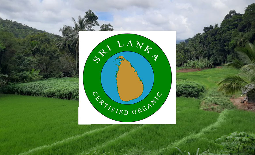 EDB Supports Farmers and Processors to obtain Sri Lanka Organic Certification