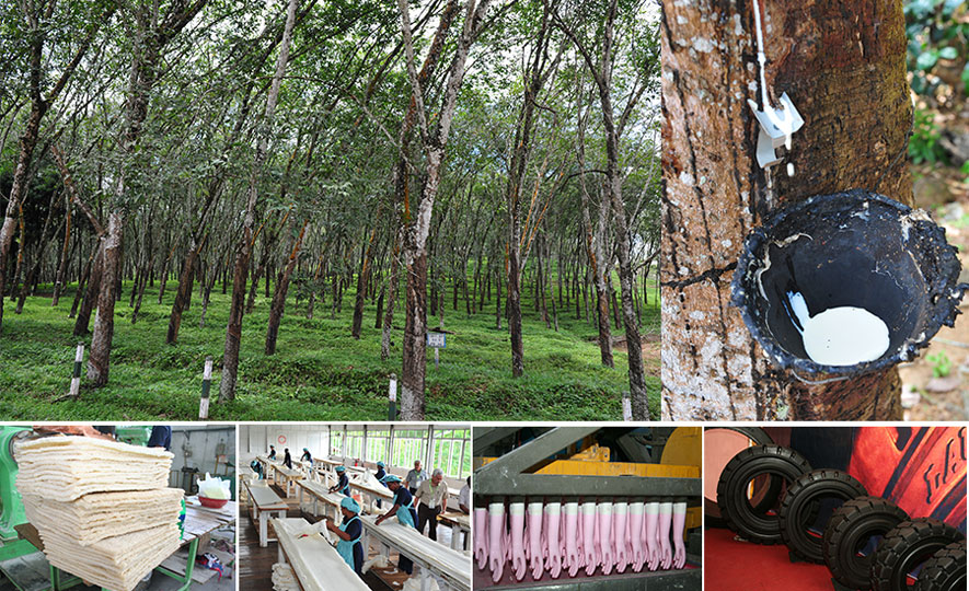 Rubber Product sector achieved 1 Bn Target in 2021