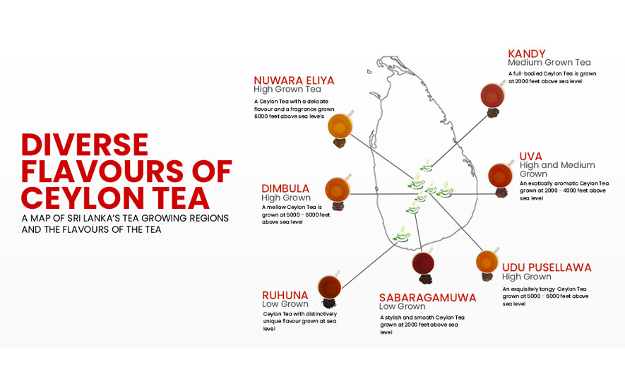Diverse Flavors of Ceylon Tea and Their Origin