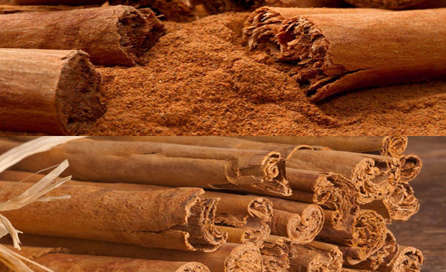 Sri Lanka’s inaugural Protected Geographical Indication (PGI) for Ceylon Cinnamon - Everything you need to know