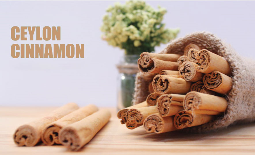 Sri Lanka achieves its first ever GI certification with Ceylon Cinnamon