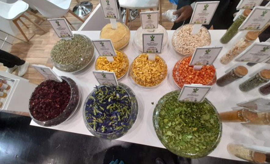 Sri Lanka targets growing European market for Organic Food at BIOFACH 2023 in Germany