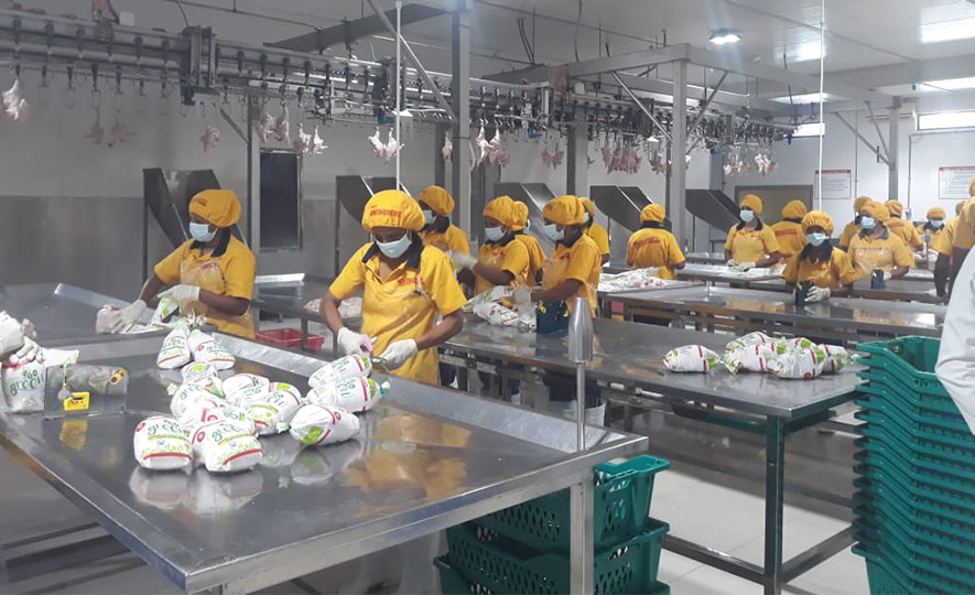 Singapore’s Food Safety Agency officials explore local food processing firms