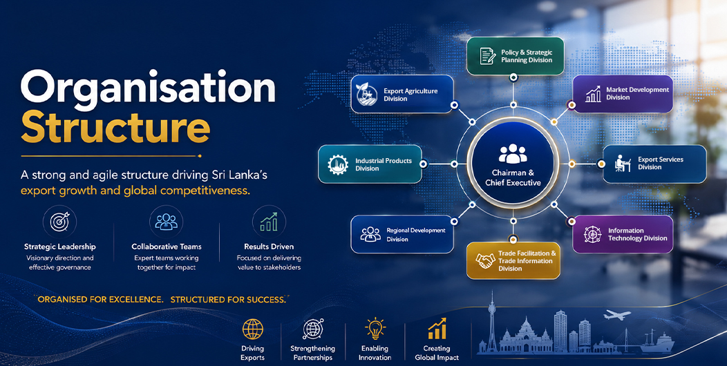 organization structure